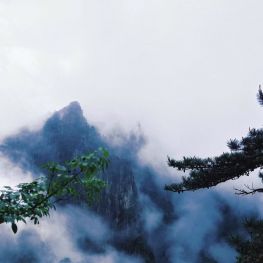 黄山游